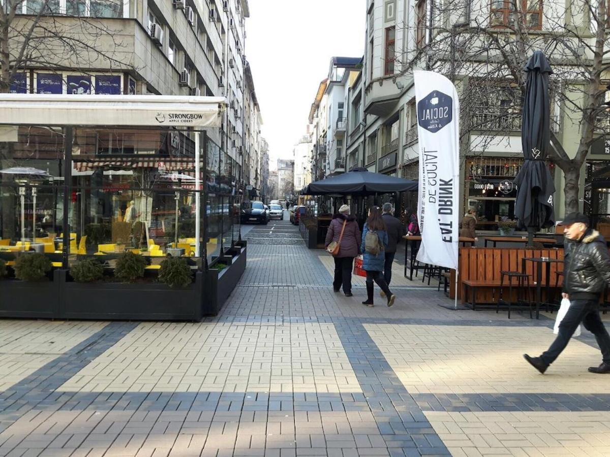 Stylish Center Flat 100m To Vitosha Blvd Daire Sofya